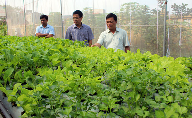 Cần nhiều hơn những chuẩn để phát triển nông nghiệp hữu cơ - ảnh 1 Cần nhiều hơn những chuẩn để phát triển nông nghiệp hữu cơ - ảnh 1